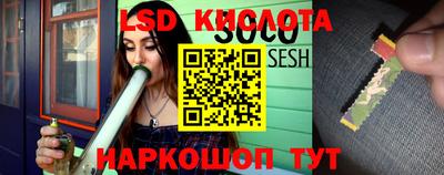 PSILOCYBIN Кинель