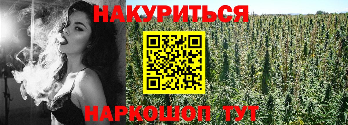 Бошки марихуана White Widow Волгоград