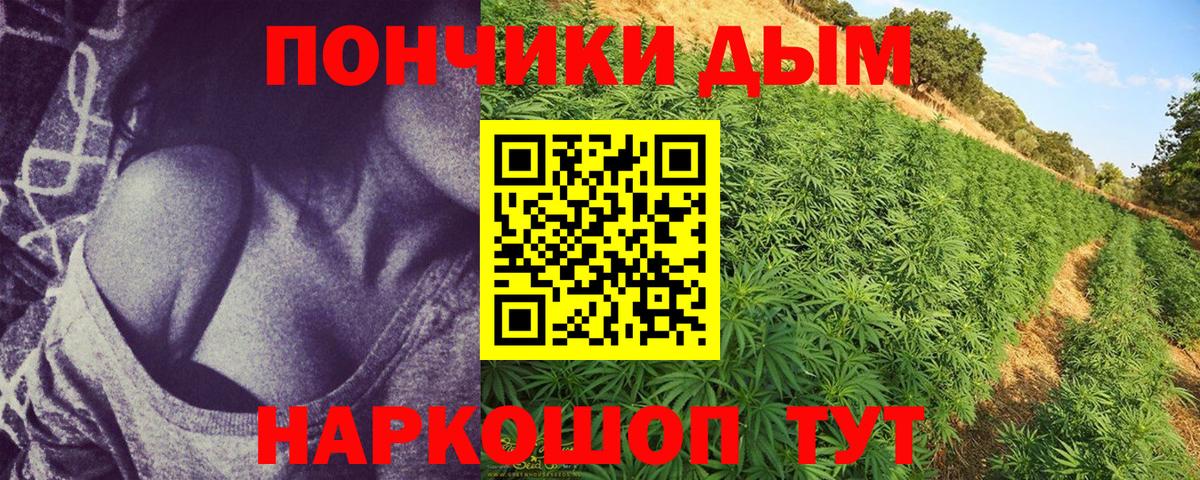 Конопля Amnesia  Вход с VPN  Волгоград  Бошки Шишки SATIVA & INDICA  Марихуана Amnesia 